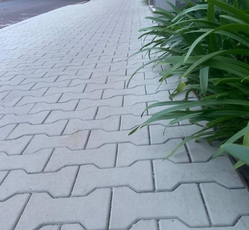 Paver Ossinho